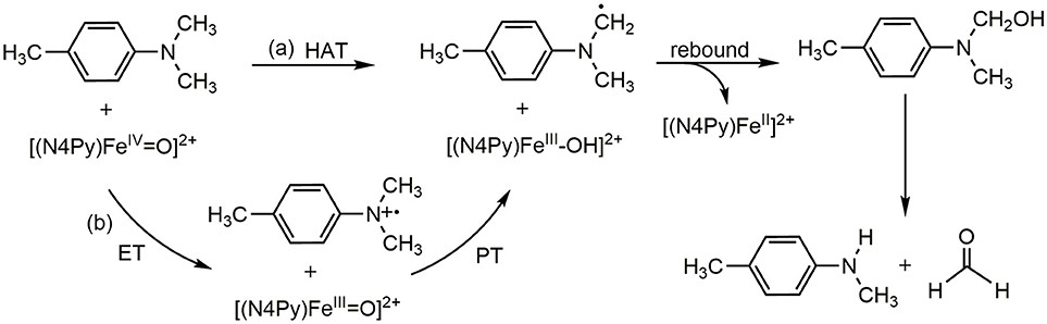  ET-PT(SET) and HAT mechanism in the para-substituted N,N-dimethylanilines activated by [(N4Py)-FeIV = O](ClO4)2